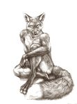  2014 anthro balls canine claws convenient_censorship fox fur kenket looking_at_viewer male mammal monochrome nude paws sitting smile solo 