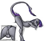 2011 anthro anus backsack balls bent_over butt butt_shot close-up dinosaur fish girly grey_body hair hybrid ldr lestle looking_at_viewer male marine nude perineum plain_background purple_hair raptor shark solo white_background 