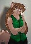  2014 anthro brown_fur brown_hair brown_nose canine chalo chest_tuft clothed clothing female fur hair heterochromia keidran leaning long_hair looking_at_viewer mammal natani on_wall robe smile solo standing tomboy tuft twokinds vest wolf 