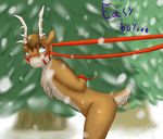  bdsm bondage bound cervine fluffy horn issac_lazarus leash male mammal reindeer snow solo 
