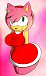  2014 amy_rose anthro big_breasts breasts clothing female fur hedgehog hi_res looking_at_viewer mammal sega smile solo sonic_(series) supersonicrulaa 