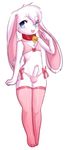  anthro bell big_ears big_eyes blue_eyes bow bra chest_tuft clothing collar crossdressing crunchobar cub erection floppy_ears front_view fur girly glans happy humanoid_penis kevin_snowpaw lagomorph legwear lingerie long_ears looking_at_viewer male mammal open_mouth panties penis pointing poking_out rabbit smile solo stockings tights tuft uncut underwear white_fur wide_hips young 