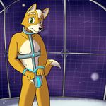  abs anthro bdsm black_nose bondage bound canine clothed clothing codpiece collar cuffs fox fox_mccloud fur fuze glowing green_eyes handcuffs looking_at_viewer male mammal nintendo nipples outer_space pinup pose prison raised_eyebrows shackles skimpy solo space space_station standing star_fox video_games white_fur worried yellow_fur 