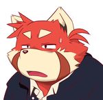  azuresama chubby male mammal plain_background reaction_image red_panda solo 