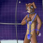  abs anthro bdsm bill_grey bondage bound canine dog fur fuzebox male mammal nintendo nipples outer_space prison solo space space_station standing star_fox video_games 