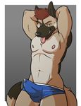  anthro arms_behind_back briefs bulge canine clamcrusher clothed clothing cum_in_pants cum_in_underwear dog erection german_shepherd half-dressed looking_at_viewer male mammal navel penis pinup pose precum solo standing tongue tongue_out topless underwear xasyr 
