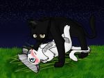  amber_eyes black_fur blue_eyes blush breezepelt_(warriors) cat feline female feral fur grass ivypool_(warriors) male mammal night warriors_(cats) white_fur 
