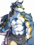  2014 abs anthro bag biceps big_muscles black_nose blue_fur canine clothed clothing eyewear fliegen80s fur glasses half-dressed male mammal markings muscles orange_eyes orange_fur pecs pose shorts solo standing sunglasses toned topless white_fur wolf yellow_eyes 