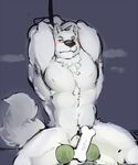  anthro armpits arms_above_head balls biceps blush bone bound canine chest_tuft dog fur kneeling male mammal muscles nude paperclip_(artist) penis penis_tip sheath solo tennis_ball tuft white_fur 