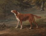  absurd_res ambiguous_gender brown_fur canine detailed_background dog feral fur george_garrard hi_res irish_setter mammal original_media outside painting proper_art raised_tail tree white_fur 