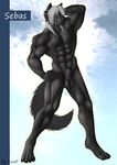  abs anthro balls barefoot biceps black_fur black_nipples black_nose canine claws color fur green_eyes grey_hair hair long_hair looking_at_viewer male mammal muscles nipples nude pecs penis pose sebas sheath signature solo toe_claws toned wolf zwolf 