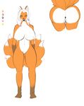  anthro anus big_breasts breasts butt canine female fox hair huge_breasts kinne long_hair looking_at_viewer lucky mammal model_sheet multiple_tails nude pussy smile solo standing 