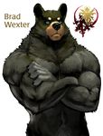  2014 anthro bear biceps black_fur black_nose blue_eyes brad_wexter chest_tuft crossed_arms front fur half-length_portrait looking_at_viewer male mammal muscles neck_tuft nude plain_background pockyrumz pose sanctum_polis solo standing tuft white_background 