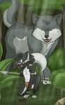  anthro canine clothing cub diegoandfriends fur imminent_rape jungle loincloth male mammal outside polearm rape_face skunk skunktail spear spotted_skunk tribal weapon wolf young 