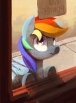  dimfann equine female feral friendship_is_magic hair mammal multicolored_hair my_little_pony pegasus purple_eyes racism rainbow_dash_(mlp) rainbow_hair sad solo window wings 