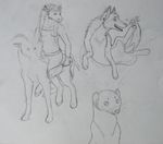  &lt;3 2010 ambiguous_gender anthro bovine canine cleaver ear_piercing equine female fur group hair happy hooves horn leaning leaning_back looking_back male mammal mustelid pawpads paws piercing riding saji_(saruki) saruki sketch solo tauren unknown_species van_(saruki) video_games warcraft weasel wolf world_of_warcraft 