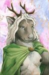  2014 anthro antlers breasts cervine cloak female fur grey_fur hair horn mammal mostly_nude nipples reindeer scale_(artist) simple_background smile solo white_hair 
