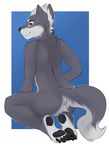 akira anthro back balls butt canine comission cute fur grey_fur hair hindpaw kittentits kneeling looking_at_viewer looking_back male mammal nude paws plantigrade purple_eyes scar sitting smile solo toes white_hair wolf 
