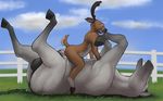  anal anal_penetration animal_genitalia anthro anthro_on_feral anus balls bestiality big_dom_small_sub cervine clenched_teeth cowgirl_position cum cum_in_ass cum_inside cum_on_chest deer duo equine eyes_closed feral gay horse horsecock interspecies koba legs_up lying male mammal on_back on_top open_mouth penetration penis sex size_difference straddling teeth 
