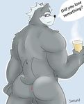  anthro anus balls butt canine male mammal nintendo ringersoul solo star_fox video_games wolf wolf_o&#039;donnell 