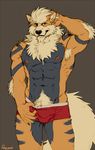  abs anthro arcanine armpit_hair body_hair bulge canine chest_hair clothing front fur hand_behind_head looking_at_viewer male mammal muscles navel nintendo nipples panty_pull pecs plain_background pok&eacute;mon pubes rossciaco solo standing topless tuft underwear video_games 