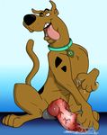  after_masturbation afterglow anatomically_correct anatomically_correct_penis animal_genitalia balls big_penis canine canine_penis collar cum cum_on_ground cum_on_hand dog feral great_dane knot male mammal masturbation orgasm penis relief relieved scooby-doo scooby-doo_(series) solo tongue tongue_out vein veiny_penis wildwulf 