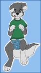  anthro begging_pose blue_background canine clothing diaper floppy_ears fur fuzzywuff grey_fur looking_at_viewer male mammal north_american_grey_wolf plain_background shirt silverwolf simple_background solo tongue tongue_out wolf 