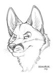  2014 anthro canine feral fox male mammal richard_foley sketch solo 