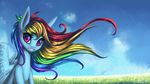  2014 asimos blue_fur equine female feral friendship_is_magic fur grass hair long_hair looking_at_viewer mammal multicolored_hair my_little_pony outside pegasus rainbow_dash_(mlp) rainbow_hair smile solo wings 