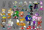  amy_rose anthro blaze_the_cat cream_the_rabbit female imperator_ix jet_the_hawk knockabiller male miles_prower sega silver_the_hedgehog sonic_(series) sonic_riders sonic_the_hedgehog tiara_boobowski 