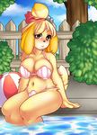  2014 animal_crossing anthro ball beach_ball big_breasts bikini black_nose blonde_hair breasts brown_eyes canine clothed clothing dog female fence fur hair hi_res isabelle_(animal_crossing) looking_at_viewer magicalzombie mammal navel nintendo outside pool shell sitting solo swimsuit tree video_games water yellow_fur 