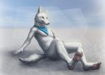  2014 anthro bandanna biological blue_eyes canine claws convenient_censorship foot_focus fur looking_at_viewer male mammal nude pawpads paws pink_nose pink_pawpads plantigrade pose reclining shane solo white_fur white_wolf wolf zarathus 