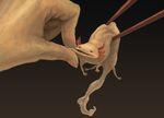  axolotl cheek_pinching chopsticks hands highres kodama_(artist) original pinching salamander 