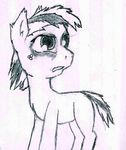  cub derpsickle equine feral friendship_is_magic horse male mammal my_little_pony pony solo young 