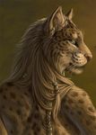  2014 anthro beads braided_hair brown_fur close-up feline female fur hair long_hair looking_at_viewer looking_back lynx mammal pose rear_view rukis shivah solo standing 