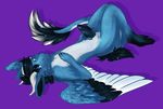  2014 anthro dragon erection feathers fluffy fur hair horn jitzu long_hair looking_at_viewer male nude penis plain_background rayxray smile solo wings 