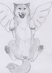  2014 anatomically_correct anatomically_correct_pussy animal_genitalia canine canine_pussy female feral lying mammal on_back paper-wings pussy sketch solo spread_legs spreading wings wolf 