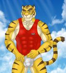  5_fingers abs anthro biceps big_muscles blue_eyes briefs brown_fur bulge clothed clothing feline front fur grin kraidhiel looking_at_viewer male mammal morenatsu muscles nipples one_eye_closed outside pecs pink_nipples pink_nose pose shirt sky smile solo standing stripes tank_top tiger toned torahiko_ooshima underwear wink yellow_fur 