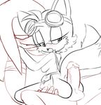  anthro crossgender duo eyewear female goggles hearlesssoul hot_dogging knuckles_the_echidna male miles_prower sega sonic_(series) sonic_boom 
