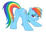  anus ass_up culu-bluebeaver equine female feral friendship_is_magic looking_back mammal my_little_pony pegasus plain_background presenting pussy rainbow_dash_(mlp) solo white_background wings 
