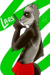  2015 anthro fur furret gay lars male mammal nintendo pok&eacute;mon primate siriuswolfus smile solo video_games 