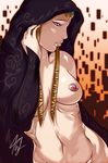  blue_eyes braid breasts brown_hair cloak francesco_simioni navel nintendo nude princess_zelda the_legend_of_zelda the_legend_of_zelda:_twilight_princess twilight_princess 