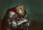  2014 anthro armor brown_fur cape capybara fur hi_res knight looking_at_viewer male mammal oneobese rodent weapon 
