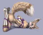  2015 akasch anthro bdsm blush bondage bound canine collar fennec fox fur male mammal nude open_mouth penis rope sabretoothed_ermine solo tongue 