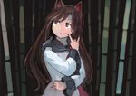  \m/ animal_ears bamboo bamboo_forest brown_hair dress fingernails forest ichiba_youichi imaizumi_kagerou jewelry long_fingernails long_hair long_sleeves nail_polish nature red_eyes solo touhou wide_sleeves wolf_ears 