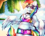  2015 anthro beach blue_fur cleavage clothed clothing equine eyewear female friendship_is_magic fur hair hand_on_hip mammal mixipony multicolored_hair my_little_pony navel outside pegasus purple_eyes rainbow_dash_(mlp) rainbow_hair seaside smile solo water wings 