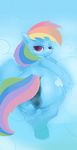  anatomically_correct anatomically_correct_pussy anus blue_fur bluedrg19 butt cloud colored condom cutie_mark equine female feral friendship_is_magic fur hair half-closed_eyes hooves looking_at_viewer looking_back mammal multicolored_hair my_little_pony pegasus purple_eyes pussy rainbow_dash_(mlp) rainbow_hair rear_view solo wings 