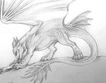  2015 ambiguous_gender blood claws dead dragon duo eating feral horn how_to_train_your_dragon looking_at_viewer night_fury plain_background prey rukis scalie shaded sketch solo teeth white_background wings 