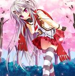  1girl artist_request blush character_request cherry_blossoms fingerless_gloves game_cg gloves grey_hair grey_legwear hanasaki_work_spring highres long_hair long_sleeves looking_at_viewer mismatched_legwear moribe_(rabumanyo) panties patterned_legwear pink_legwear plaid_skirt purple_eyes scarf school_uniform shiranui_inori silver_hair skirt skirt_lift source_request striped striped_legwear striped_thighhighs thighhighs underwear wind_lift 