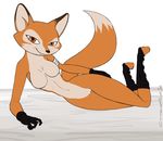  bandage breasts canine female fox gloves invalid_tag looking_at_viewer mammal orange_eyes solo spark unknown_artist wide_hips 